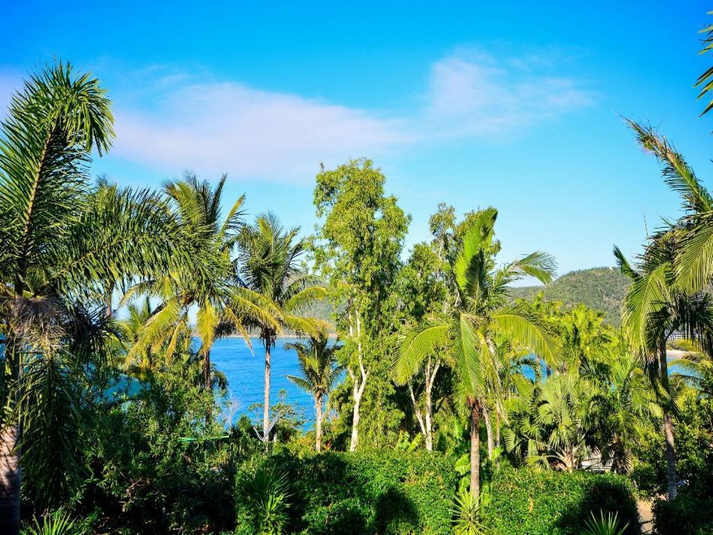 The Palms On Hamilton Island Villa Exteriör bild