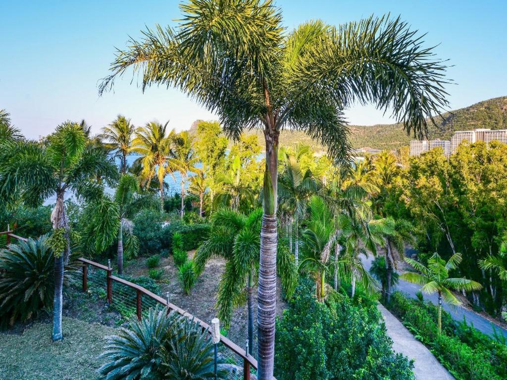 The Palms On Hamilton Island Villa Exteriör bild